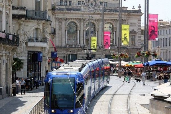 auto-ecole-montpellier Cheelo - 3